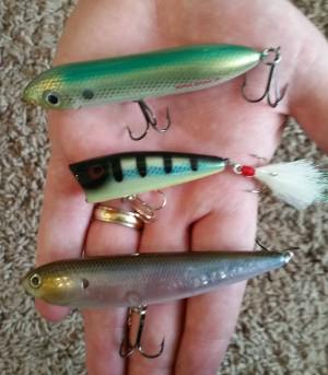 Baits and Lures