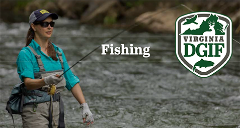 ALL YOU NEED TO KNOW ABOUT GETTING A FISHING LICENSE IN VIRGINIA Bass 